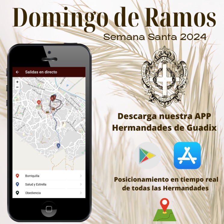 Domingo de Ramos  - Salidas procesionales