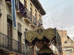 IMG_1603_68038d13642e6